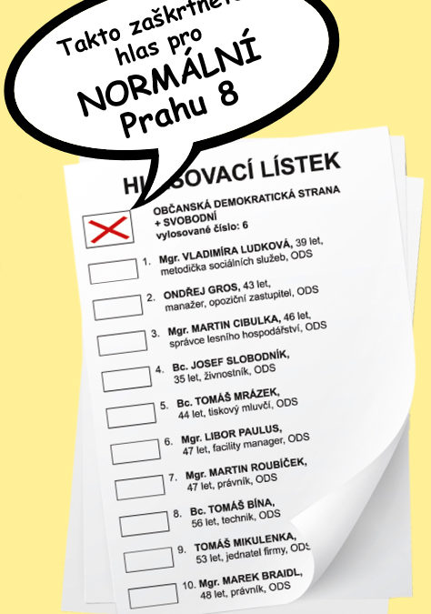 Hlasování v komunálních volbách